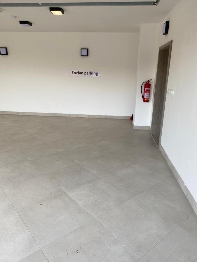 Apartment Enzian Loučná pod Klínovcem Extérieur photo